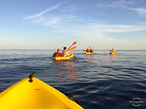 kayak tour